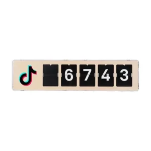 Smiirl Real-Time TikTok Counter - 5 cifre | Kun kort tid