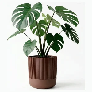 Simiu - GROWLOFT - Urtepotteskjuler Med Drypbakke - Mokka - 8,2cm høj - Køb nu
