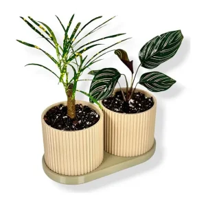 Ny vare - Simiu - TWINDA - Double Planter i beige og lys Oliven - 8,5cm