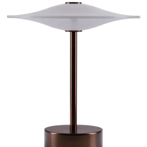 Topprodukt - Sinus 22 Portable bordlampe, aged bronze af Piet Hein