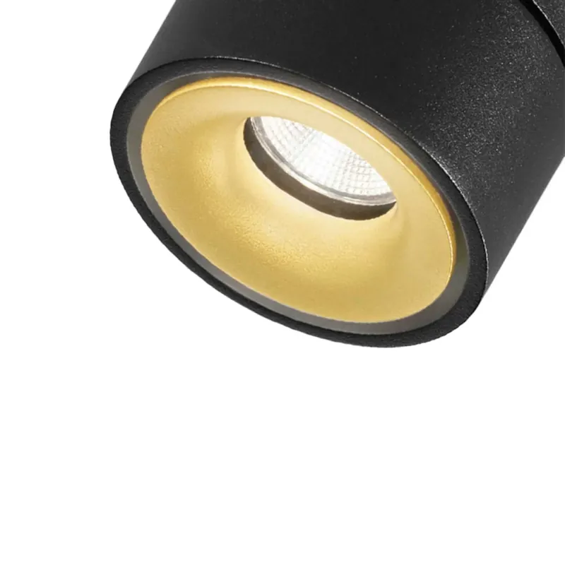 Kundernes valg - Clippo EP Downlight sort/guld