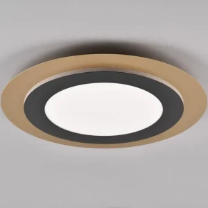 Trio Lighting Trio Lighting Morgan LED Loftlampe 45 cm Matsort/Guld - Belysning | Populært valg