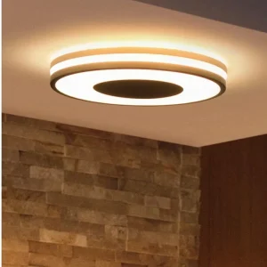 Direkte fra producenten | PHILIPS HUE BEING LOFTLAMPE SORT 929003055101