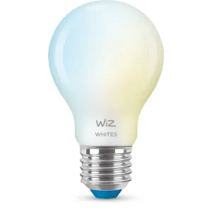 Favorit blandt kunder - WizMatteret glaspære 60 W A60 E27