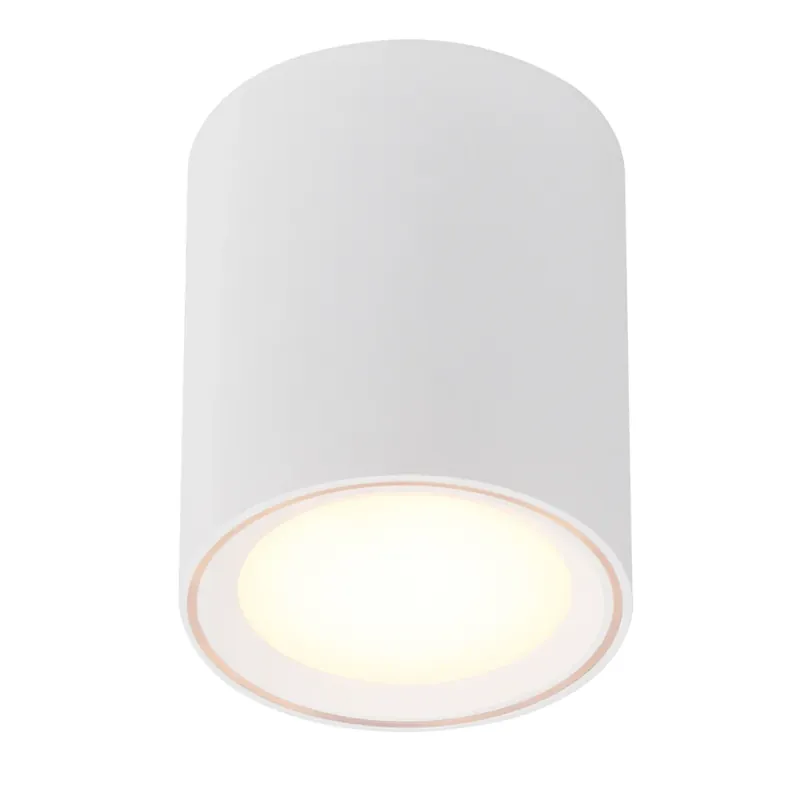 Bestil i dag | Fallon Long P�bygningsspot - Nordlux