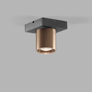 Godt tilbud - Focus 1 Switch Tune Loftspot, Rose Gold